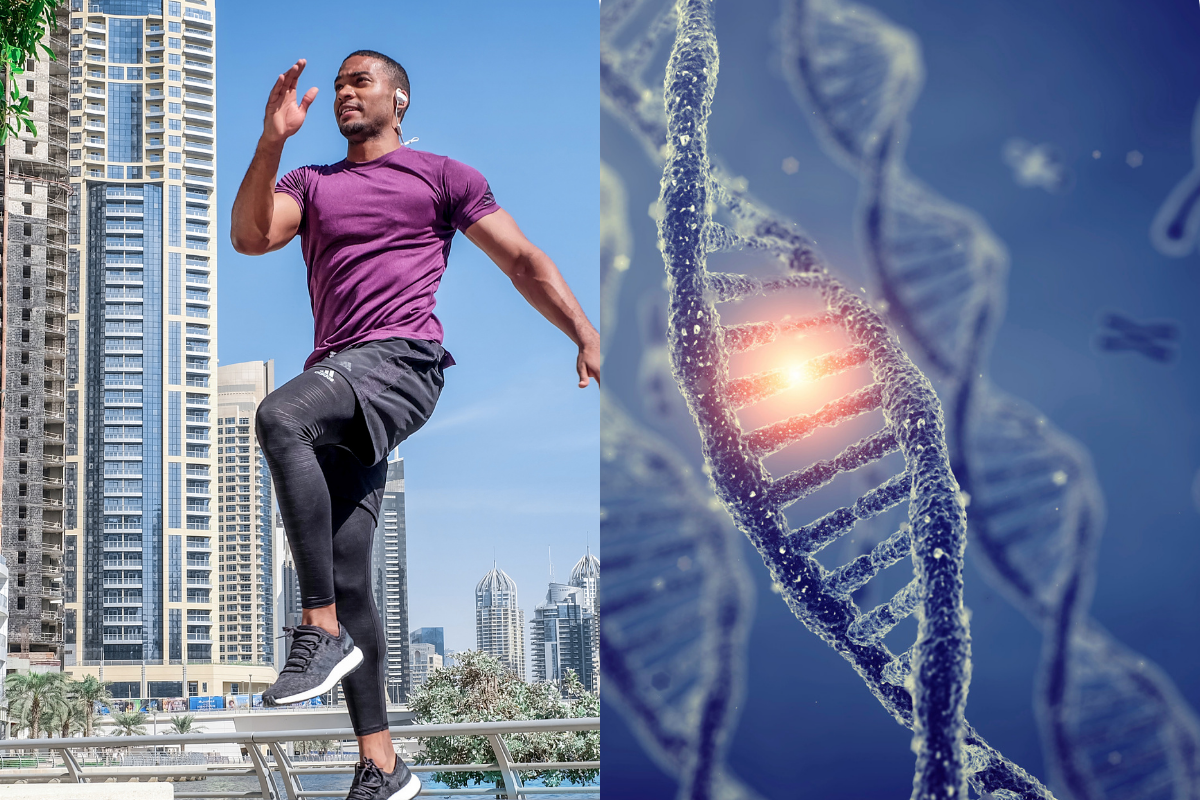 How Does Your Genetic Makeup Influence Your Cardiovascular Fitness Level