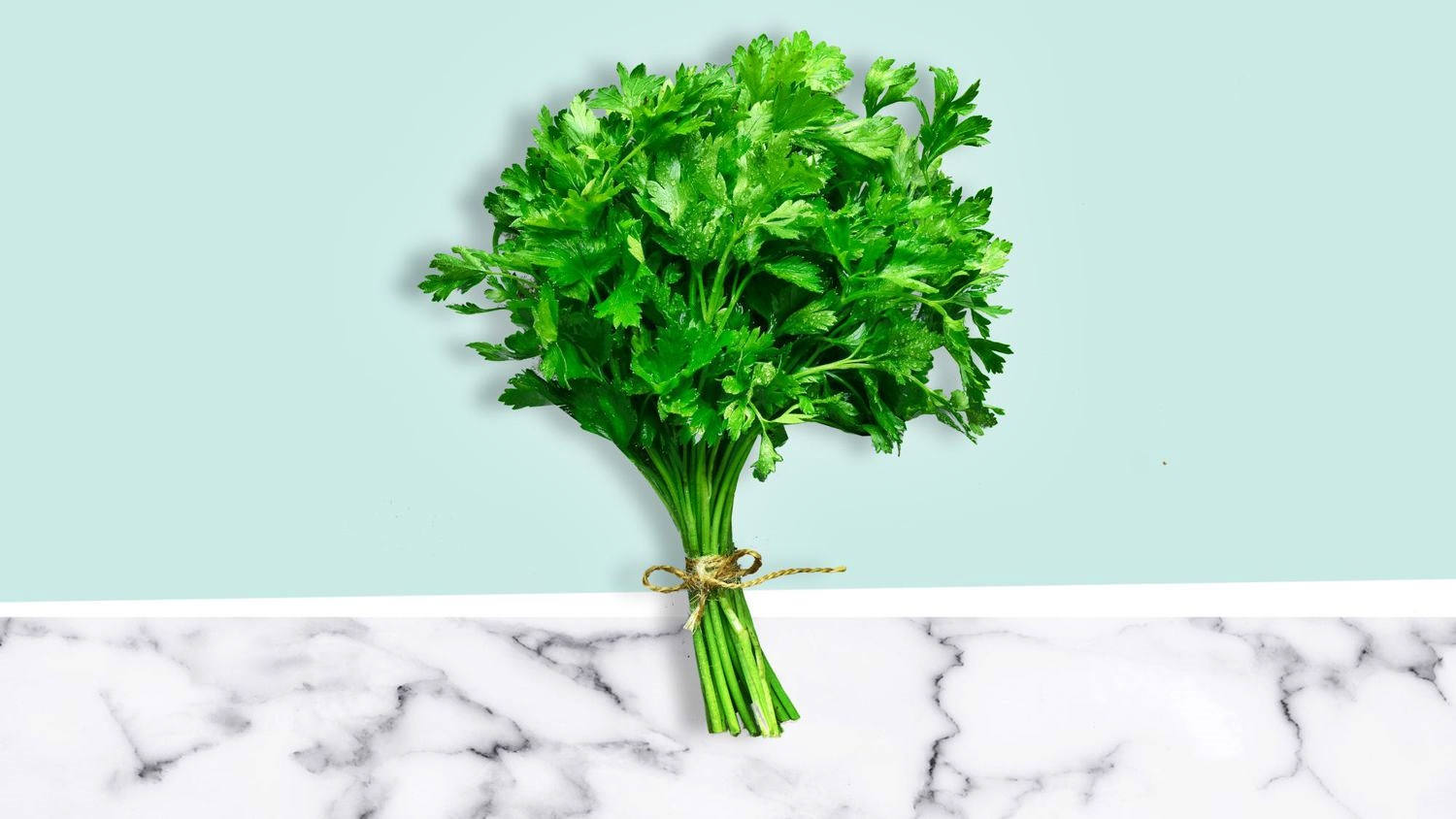 What Are The Health Benefits Of Cilantro