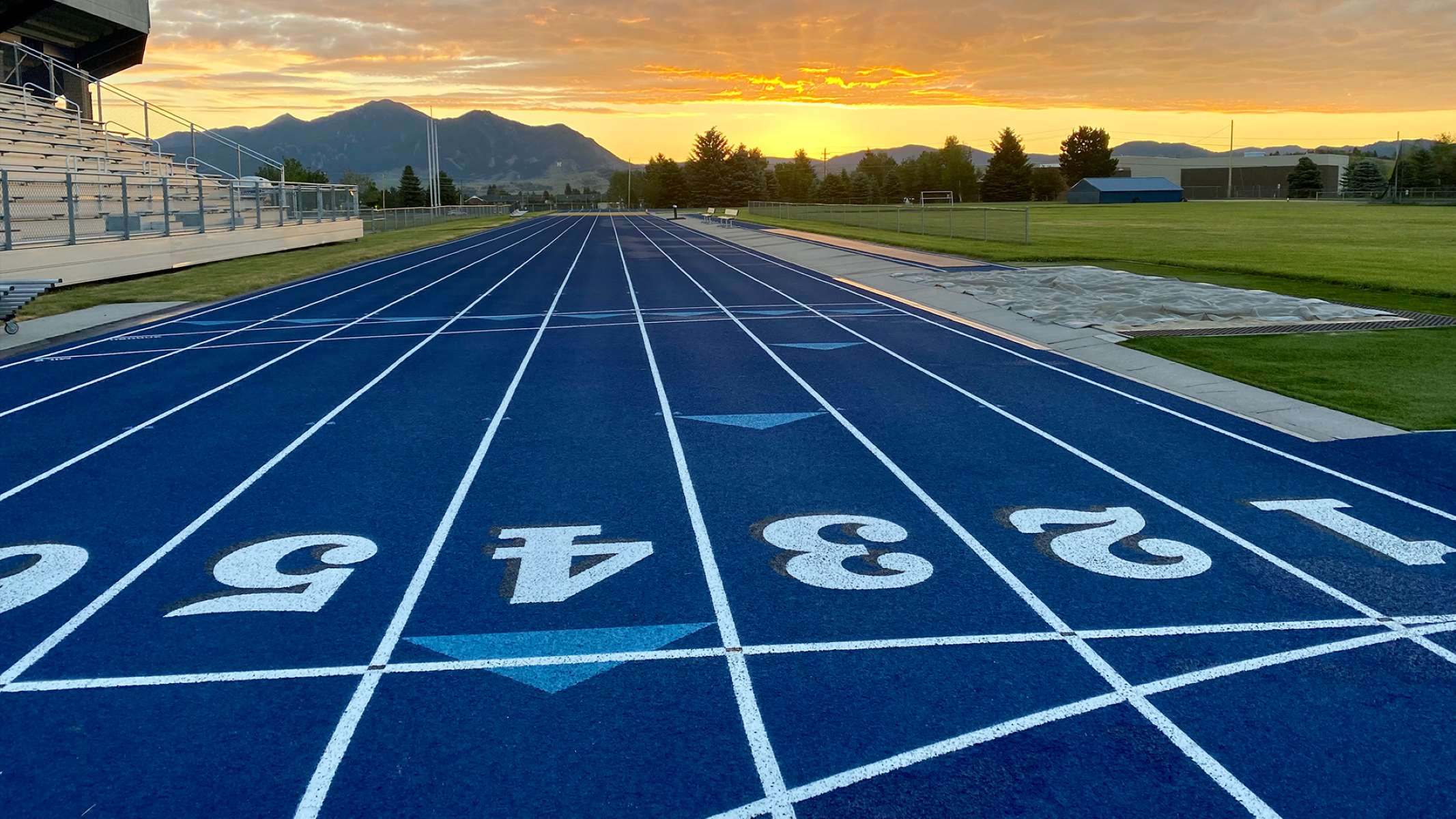 What Does SCR Mean In Track And Field Runningshorts