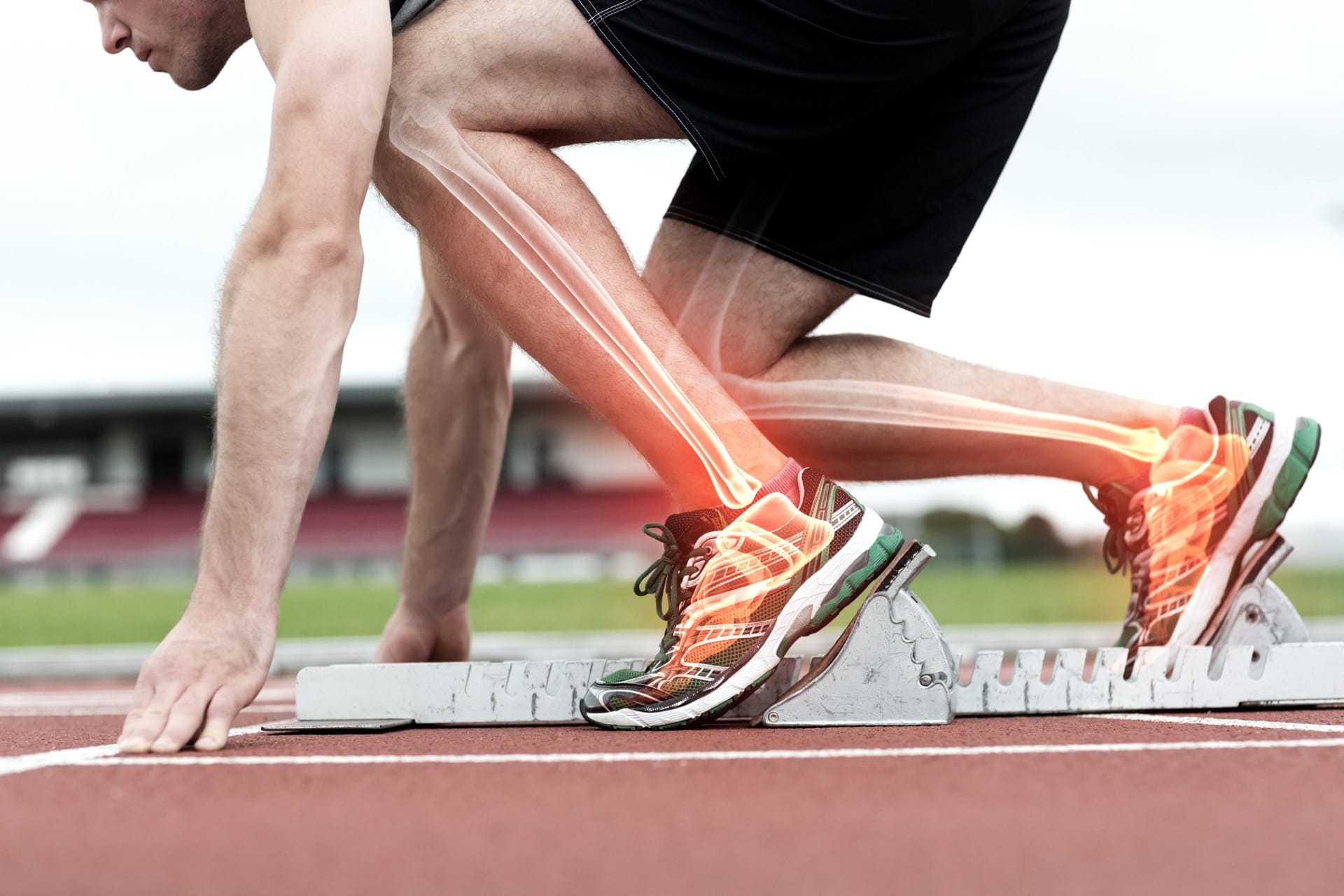 What Is The Effect Of Exercise On Bones?
